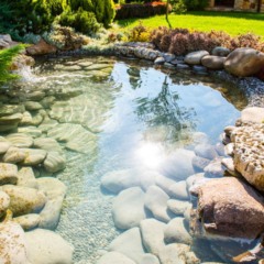 Nem jardim, nem piscina: nova tendência que transforma o quintal em um refúgio