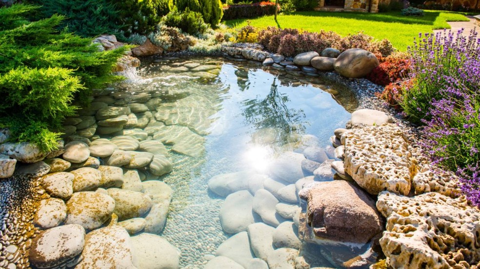 Nem jardim, nem piscina: nova tendência que transforma o quintal em um refúgio