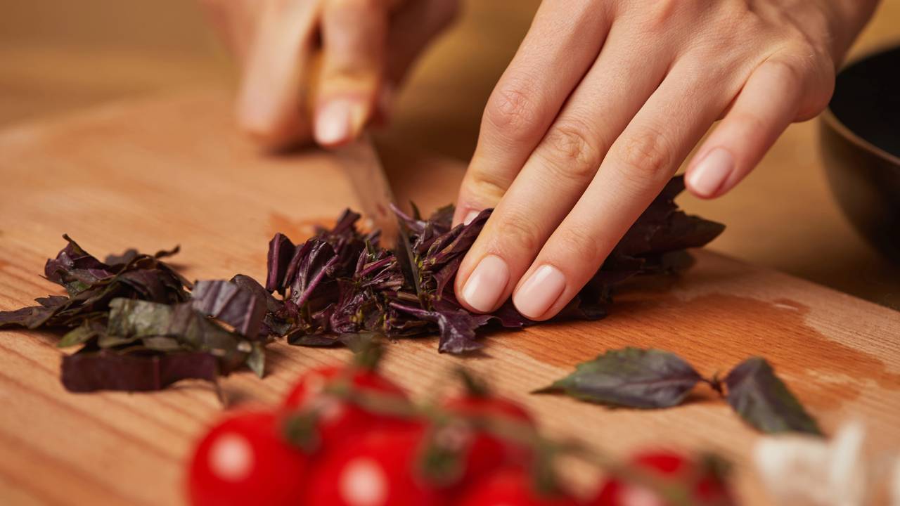 Como plantar manjericão em casa e garantir folhas frescas para suas receitas