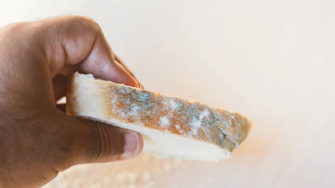 Evite mofo e mantenha a comida saudável por mais tempo