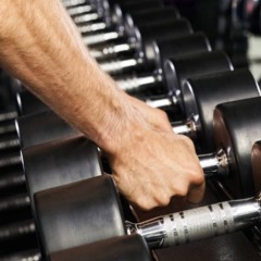Treinos básicos de musculação que todo iniciante deve conhecer Treinos básicos de musculação que todo iniciante deve conhecer