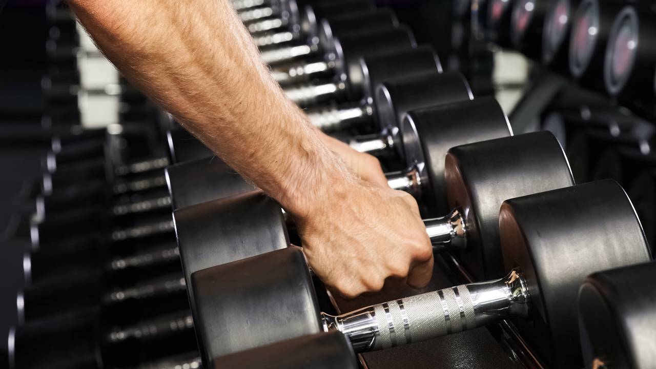 Treinos básicos de musculação que todo iniciante deve conhecer