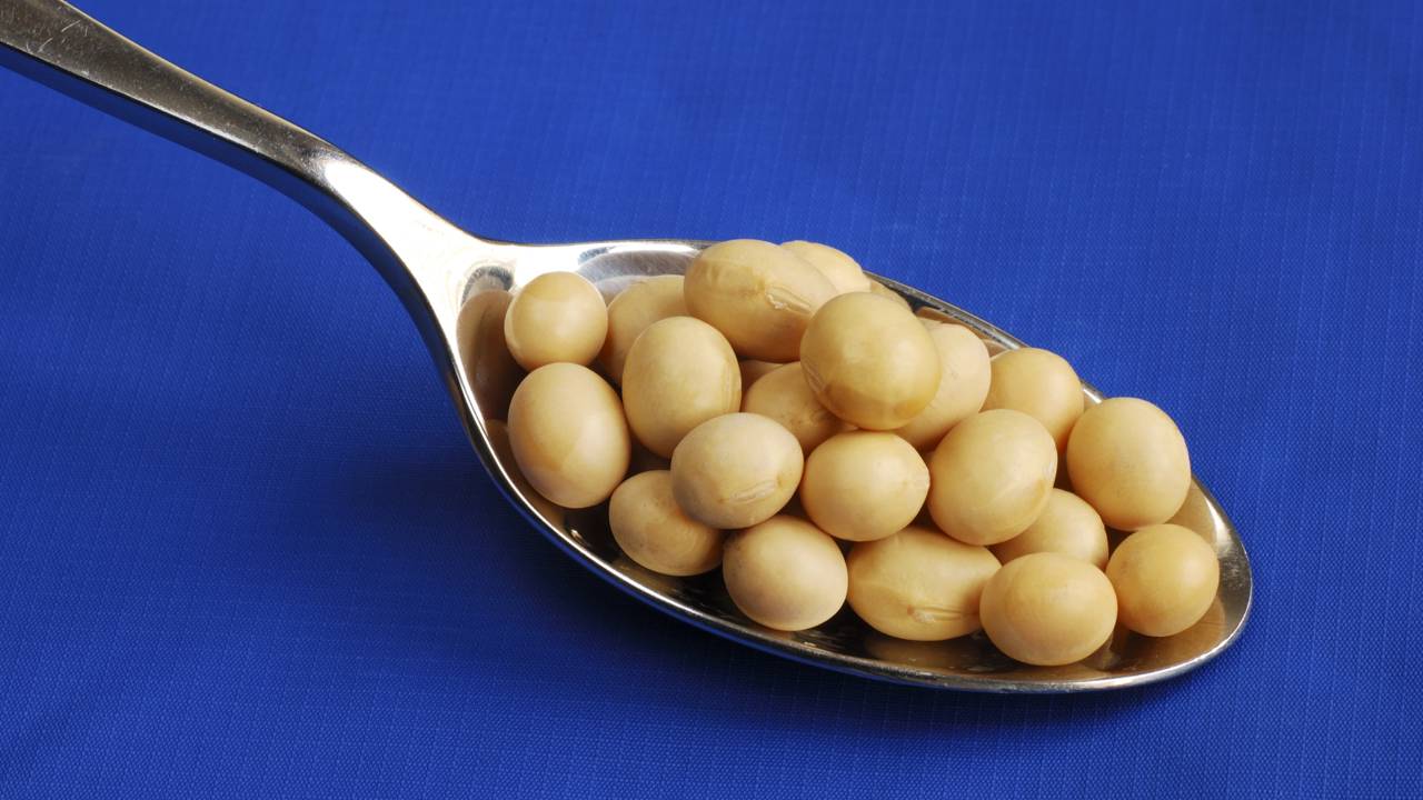 Alimentos que fortalecem o cérebro e mantêm a mente ativa