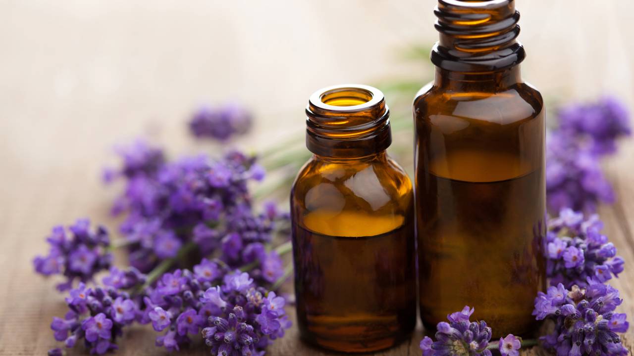 Os ratos vão fugir da sua casa com esses aromas poderosos
