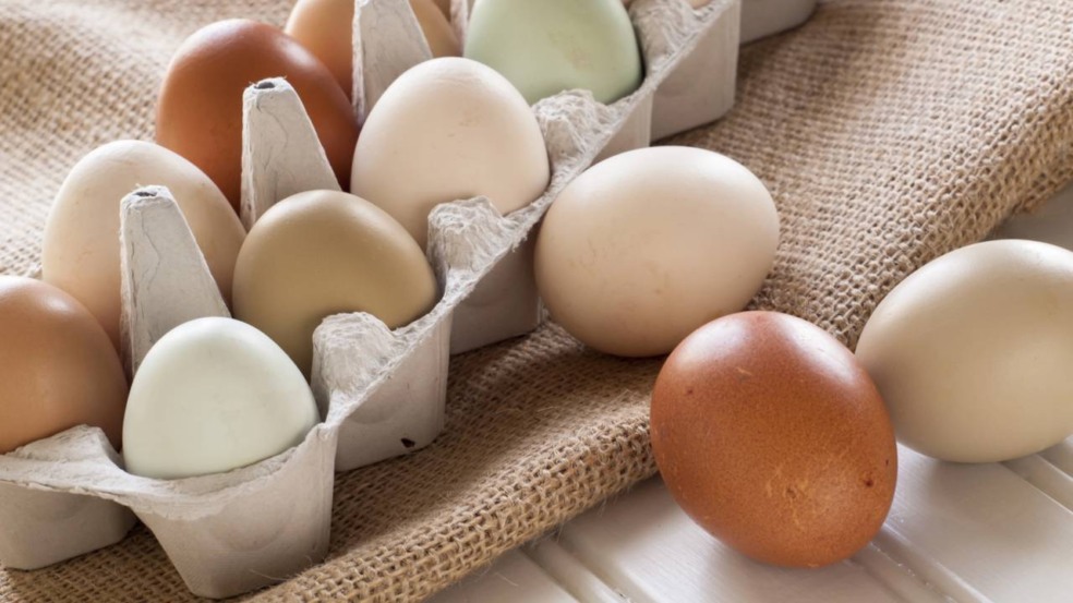 O jeito certo de preparar os ovos e aproveitar suas proteínas O jeito certo de preparar os ovos e aproveitar suas proteínas