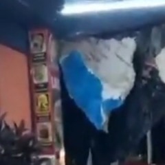 Reprodução Reprodução