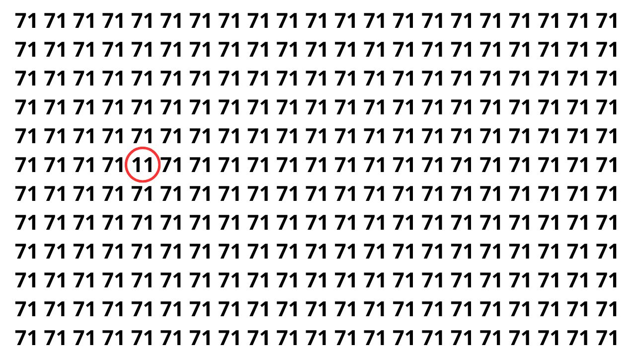 Apenas os mais atentos encontram o número 11 nesta imagem