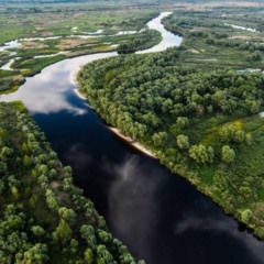 Por que certos rios sobem e descem como o oceano?