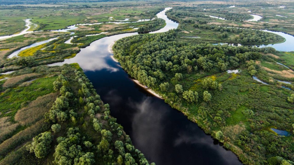 Por que certos rios sobem e descem como o oceano?