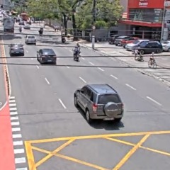 Divulgação/Nittrans