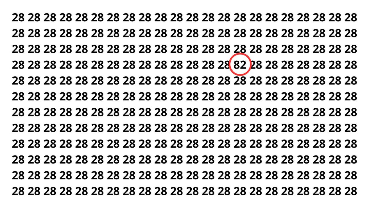 O número 82 está perdido entre tantos 28, você acha em menos de 8 segundos?