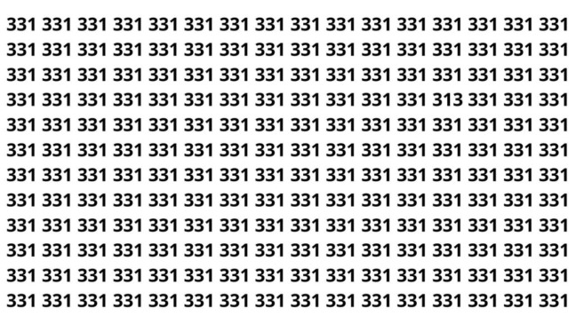 Parece fácil, consegue achar o 313 entre os 331?