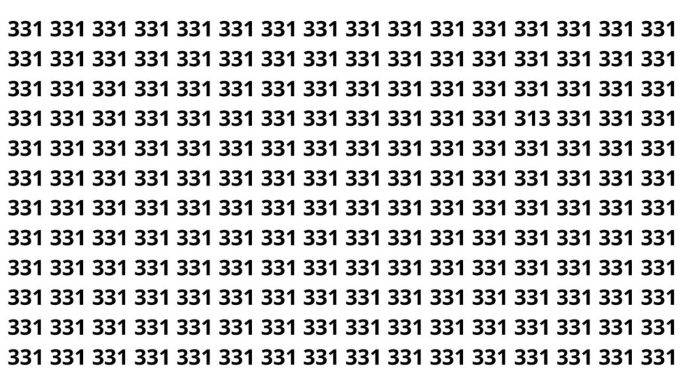 Parece fácil, consegue achar o 313 entre os 331? Parece fácil, consegue achar o 313 entre os 331?