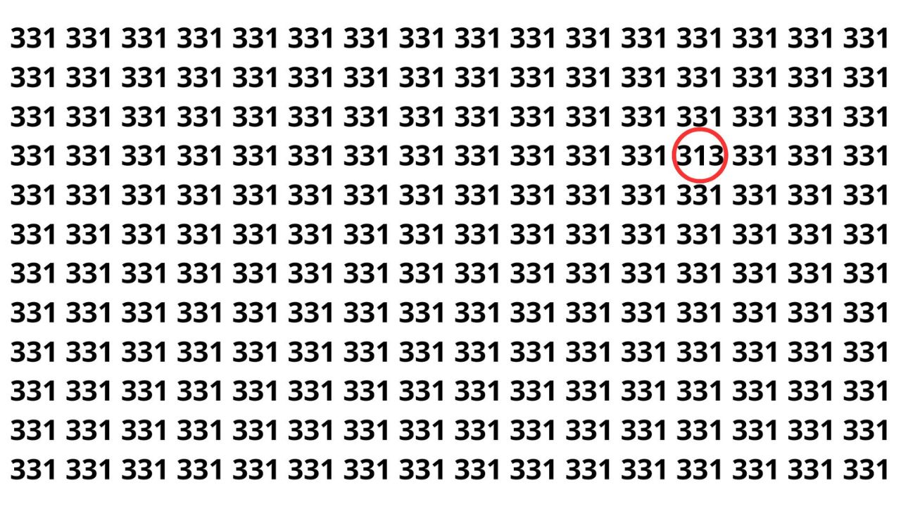 Parece fácil, consegue achar o 313 entre os 331?
