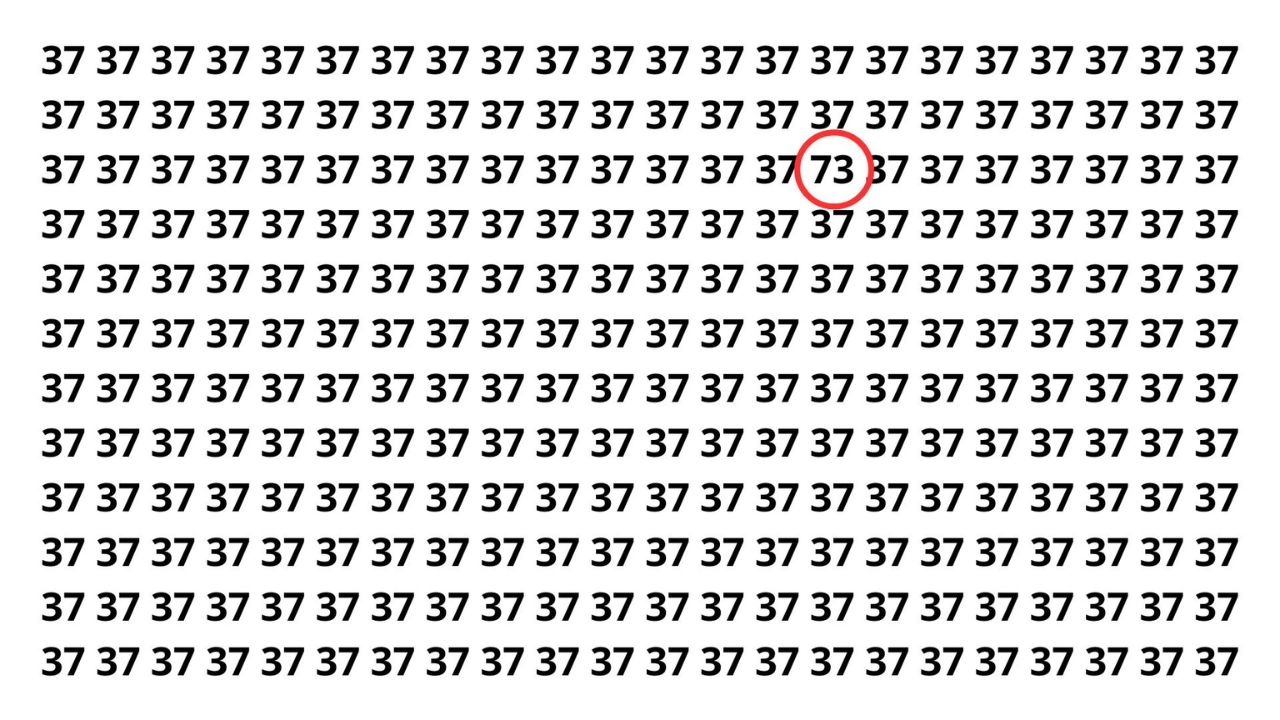Acha que tem boa atenção? Então tente achar o 73 nessa sequência