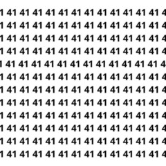 Quem tem boa atenção acha o 14 perdido no meio de tantos 41 em poucos segundos