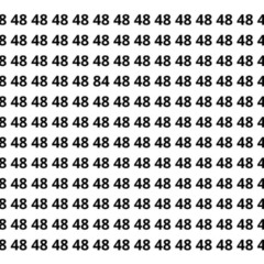 Desafio rápido pra ver se você acha o 84 perdido entre os 48