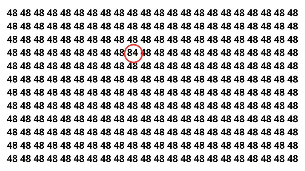 Apenas olhos atentos veem o 84 entre os 48 nesse desafio visual