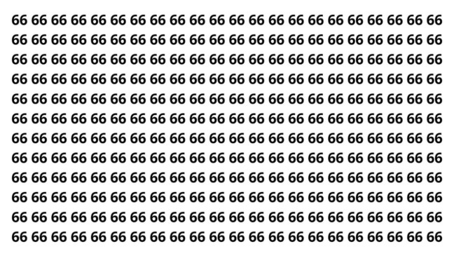 Só 1% acha o 68 entre os 66 em menos de 10 segundos