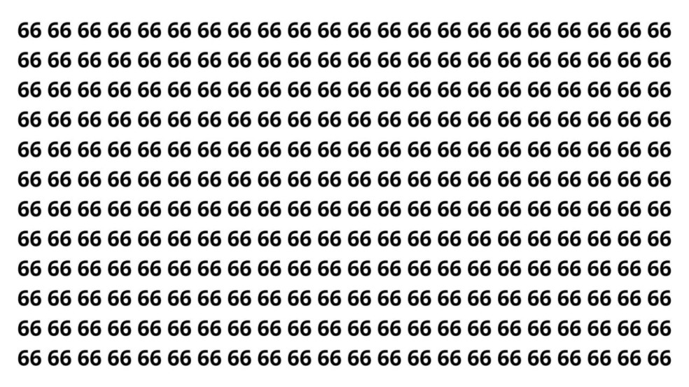 Só 1% acha o 68 entre os 66 em menos de 10 segundos