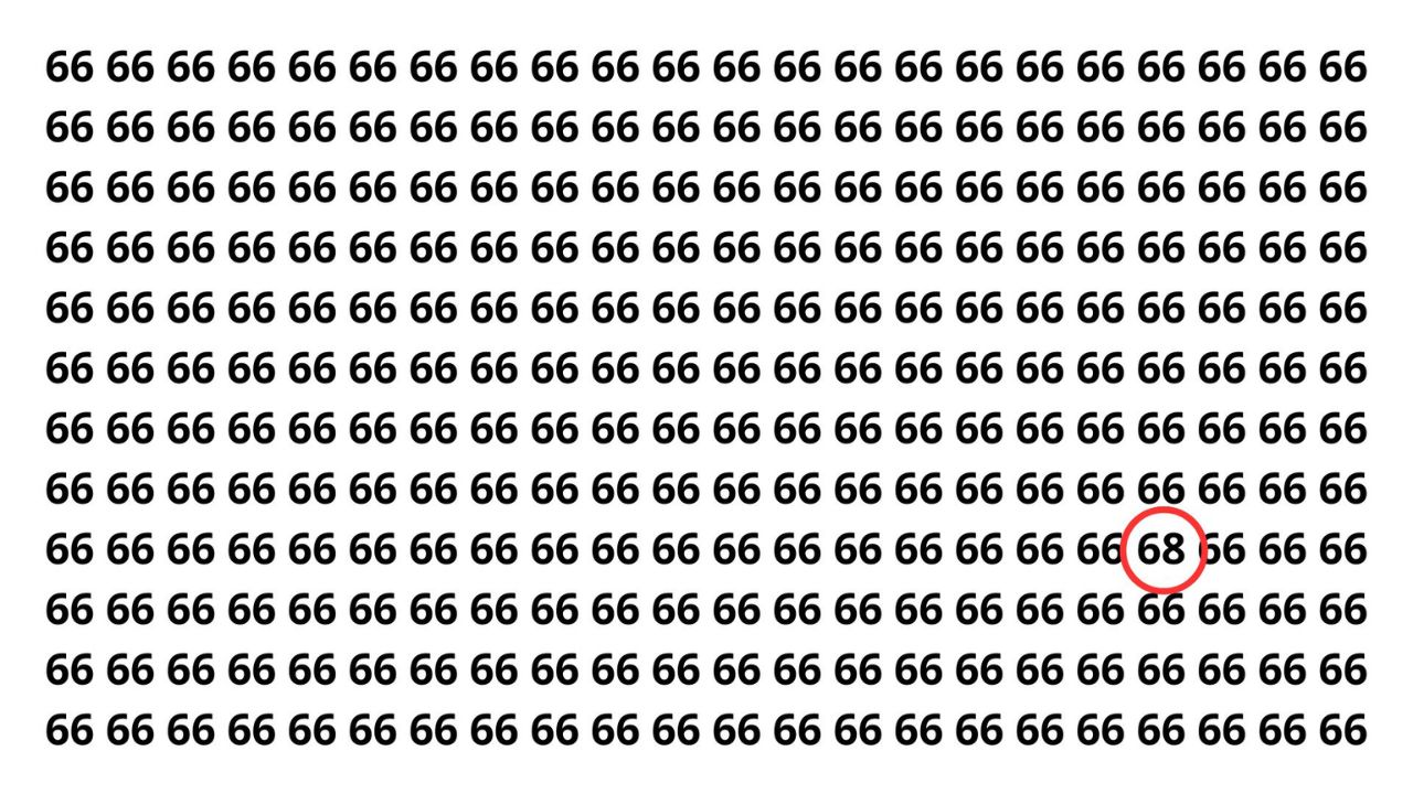 Só 1% acha o 68 entre os 66 em menos de 10 segundos