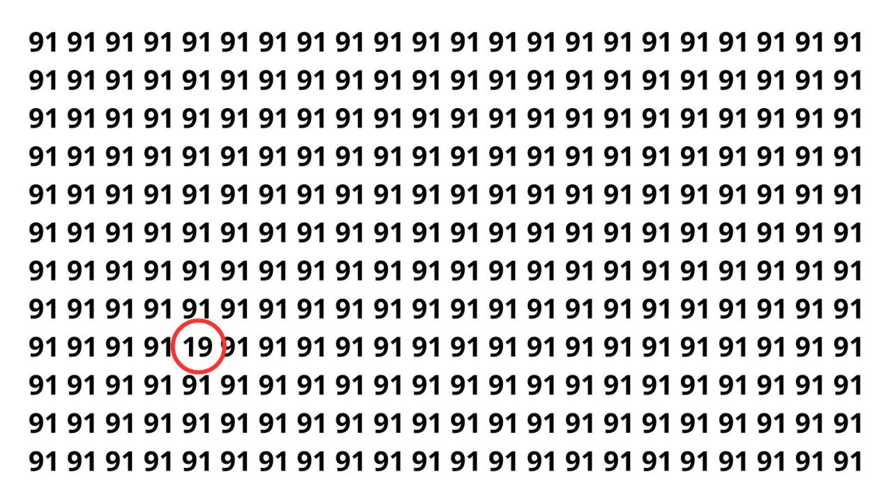 Teste de visão encontre o 19 entre os 91