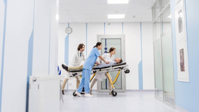 Créditos: depositphotos.com / AllaSerebrina