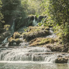 O lugar no Brasil onde o mergulho parece uma viagem a outro mundo