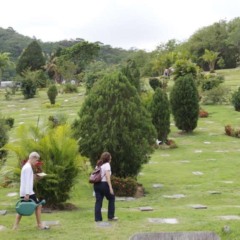 Parque da Colina | Foto: Divulgação  Parque da Colina | Foto: Divulgação