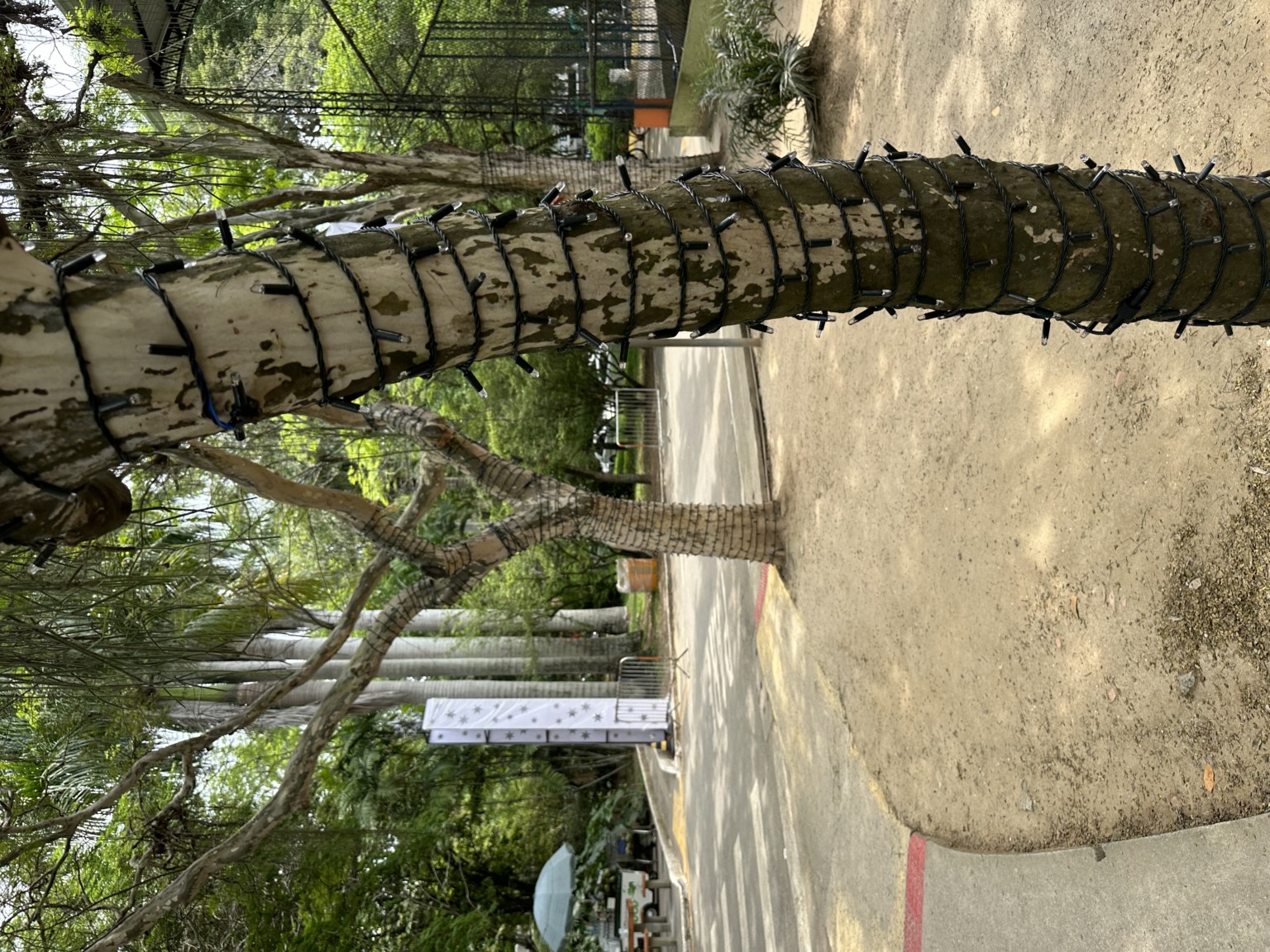 Foto: Cidade de Niterói Foto: Cidade de Niterói