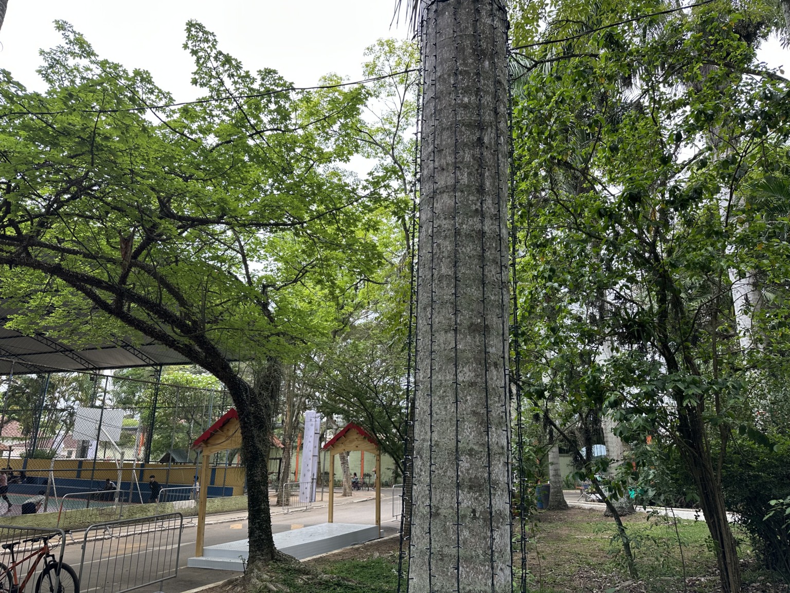 Foto: Cidade de Niterói Foto: Cidade de Niterói
