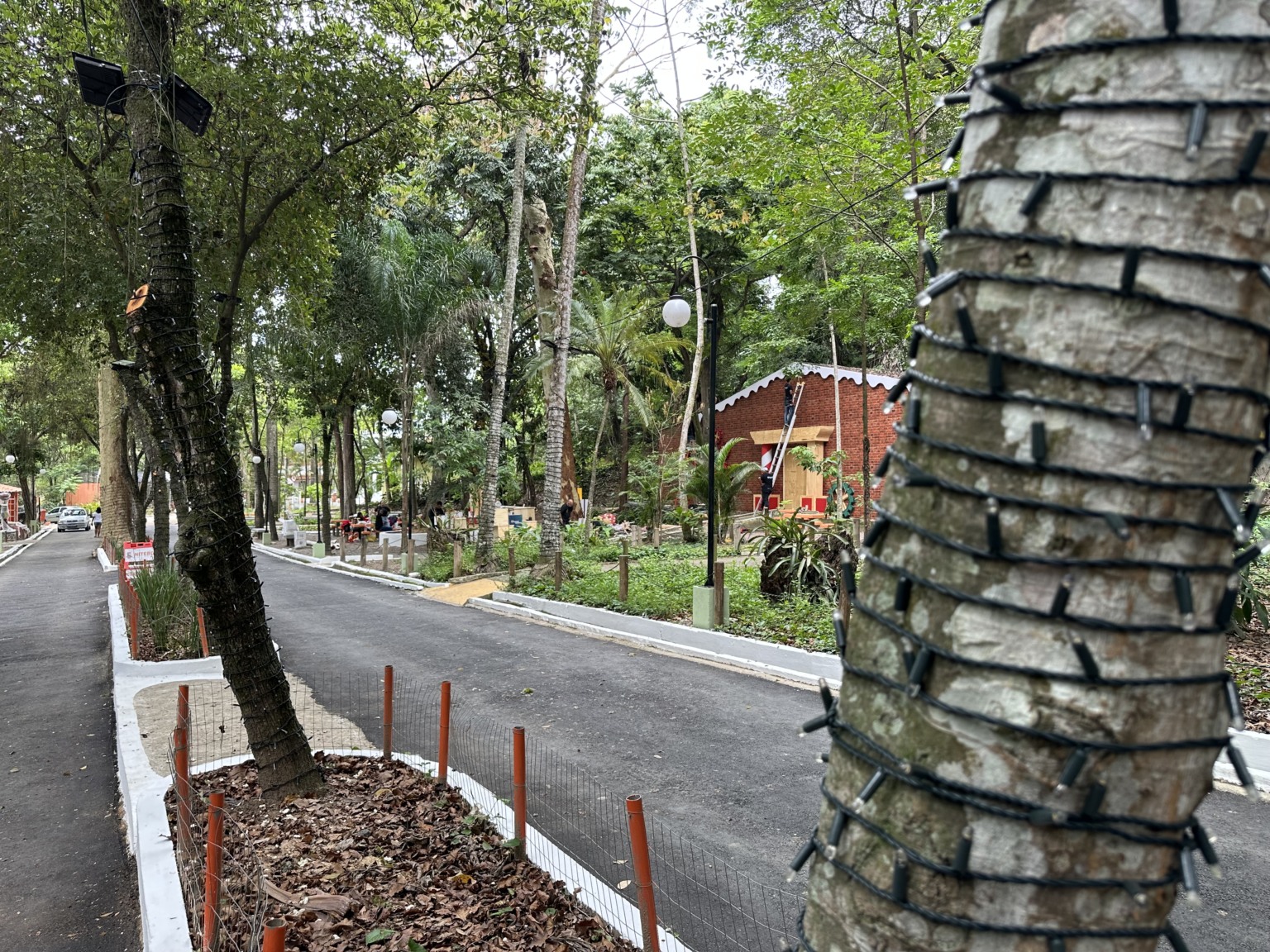 Foto: Cidade de Niterói Foto: Cidade de Niterói
