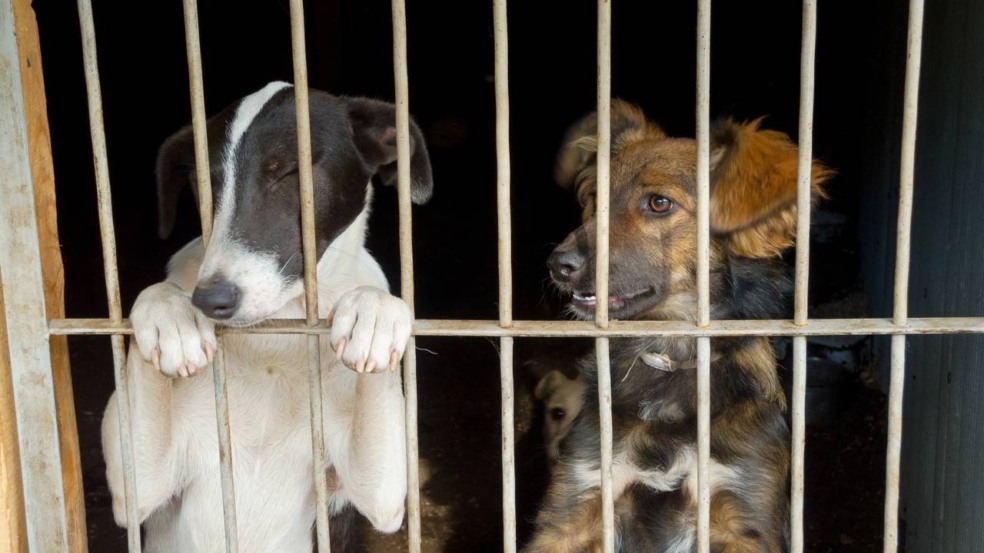 Créditos: depositphotos.com / toxawww Créditos: depositphotos.com / toxawww