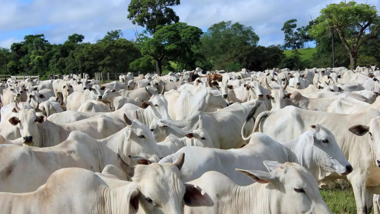 Maricá alerta produtores para prazo que pode afetar propriedades rurais
