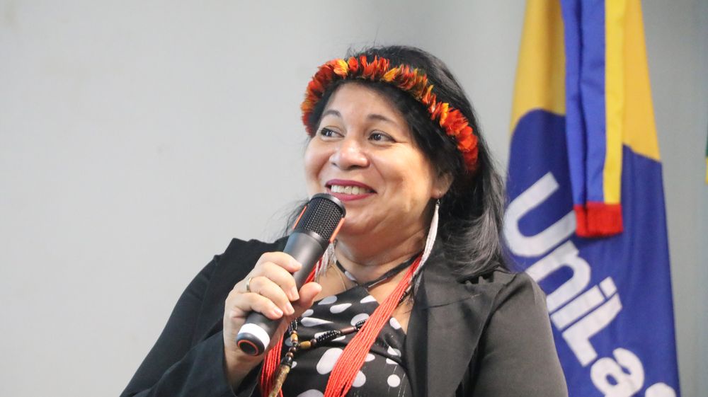 história afro-brasileira e povos originários