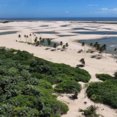 Aprenda a explorar os parques nacionais sem comprometer o meio ambiente