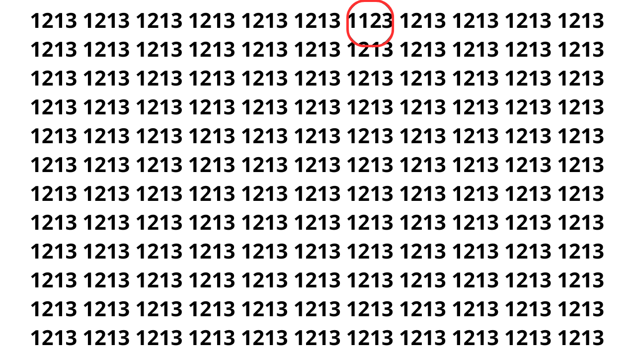 Apenas 25% das pessoas acham o número escondido em 12 segundos