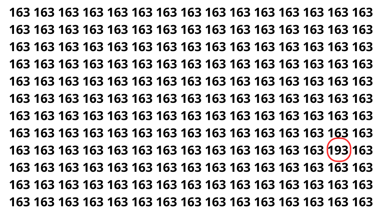 Você consegue achar o número 193 entre vários 163 em 8 segundos?