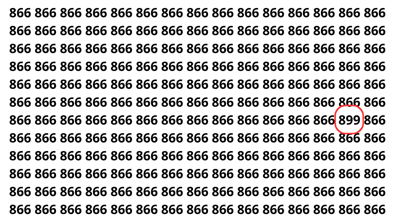 Você consegue achar o número 899 antes que o tempo acabe?