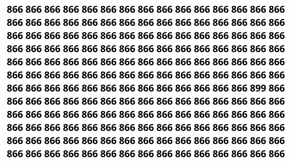 Você consegue achar o número 899 antes que o tempo acabe?