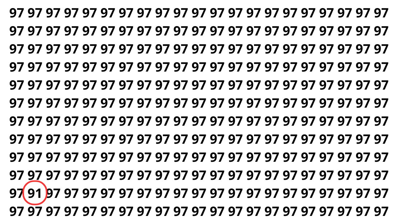 Só 5 em cada 20 pessoas encontram o número 91 neste puzzle