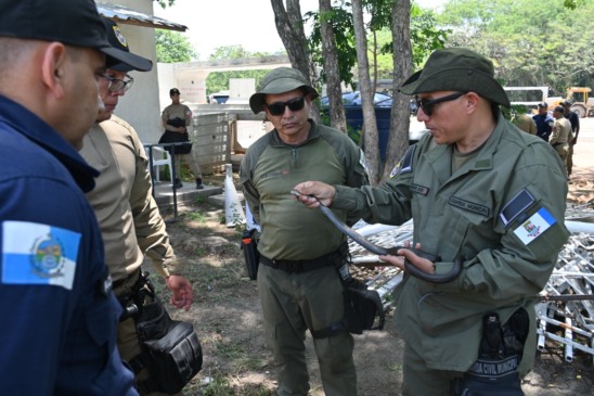 Treinamento-Guarda-1