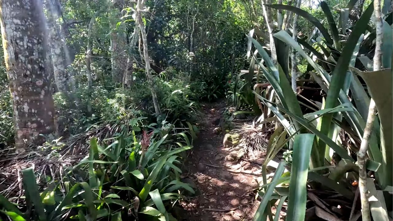 O passeio que todo aventureiro precisa fazer em Niterói