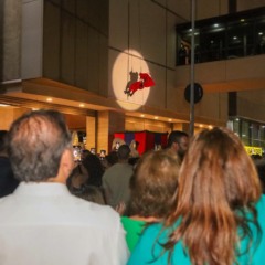 Foto: Evelen Gouvêa