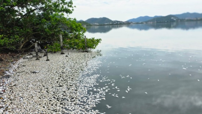 Foto: Juliana Lohmann