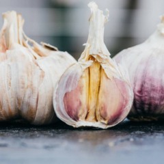 Essa técnica de plantio de alho garante bulbos grandes e saudáveis