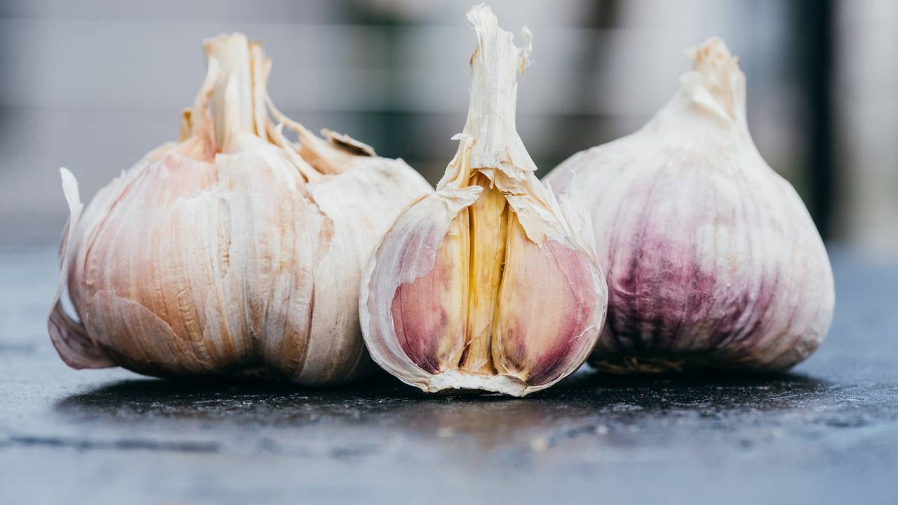 Essa técnica de plantio de alho garante bulbos grandes e saudáveis