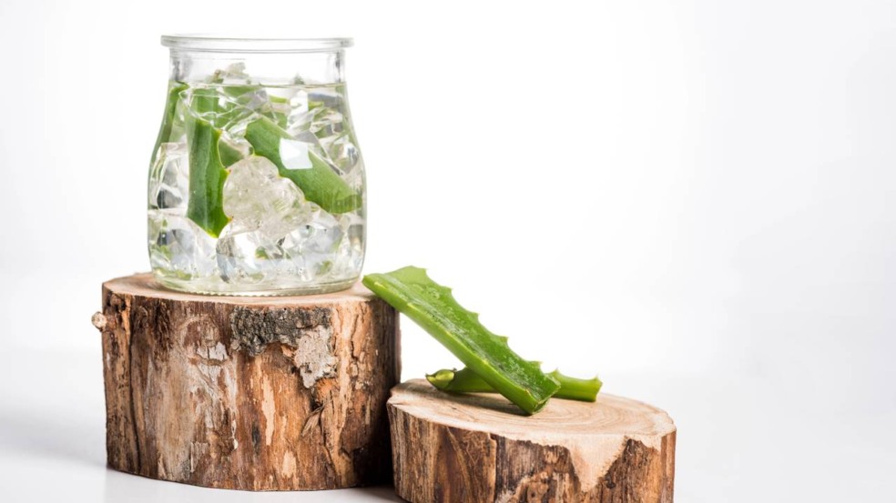 Passei uma semana cuidando da minha pele com babosa natural Passei uma semana cuidando da minha pele com babosa natural