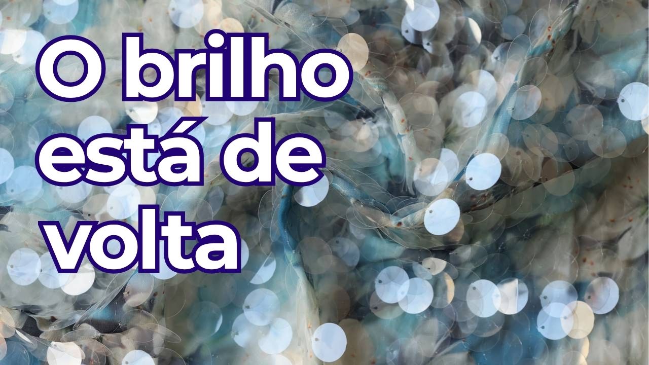 Brilho sem erro: como equilibrar paetês e metalizados com estilo