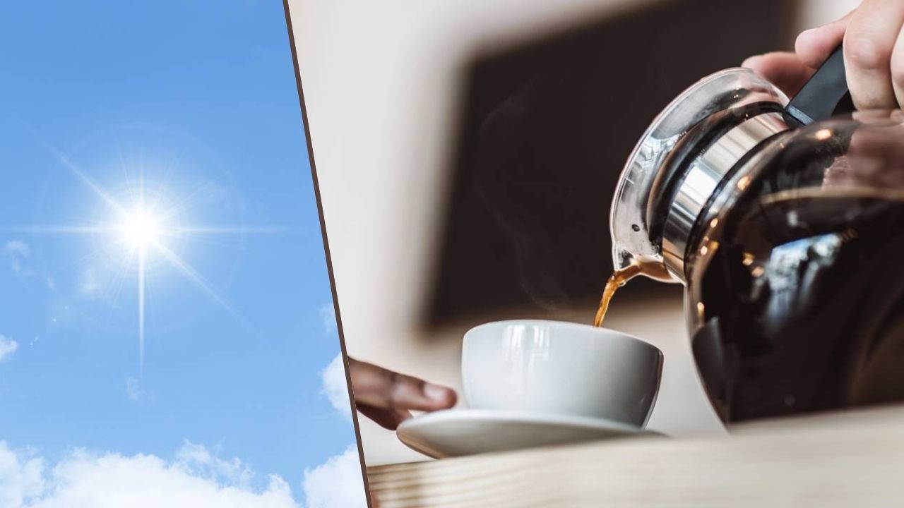 Como o calor transforma seu café em ameaça à saúde